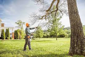 Mulching Services in Palm Desert, CA