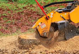 Best Tree Preservation Services  in Palm Desert, CA
